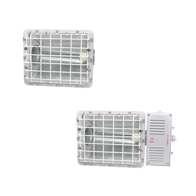 CBT51-F系列防爆投光（泛光）燈（IIB tD）